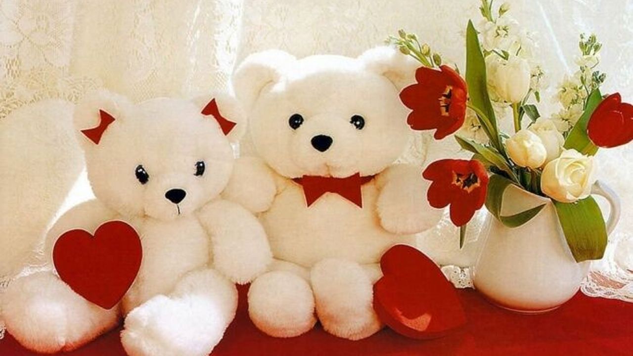 Sevgililer Günü’nü ‘Bacılar/Kız Kardeşler Günü’  Olarak Kutlamak  ne  Derece Doğru?