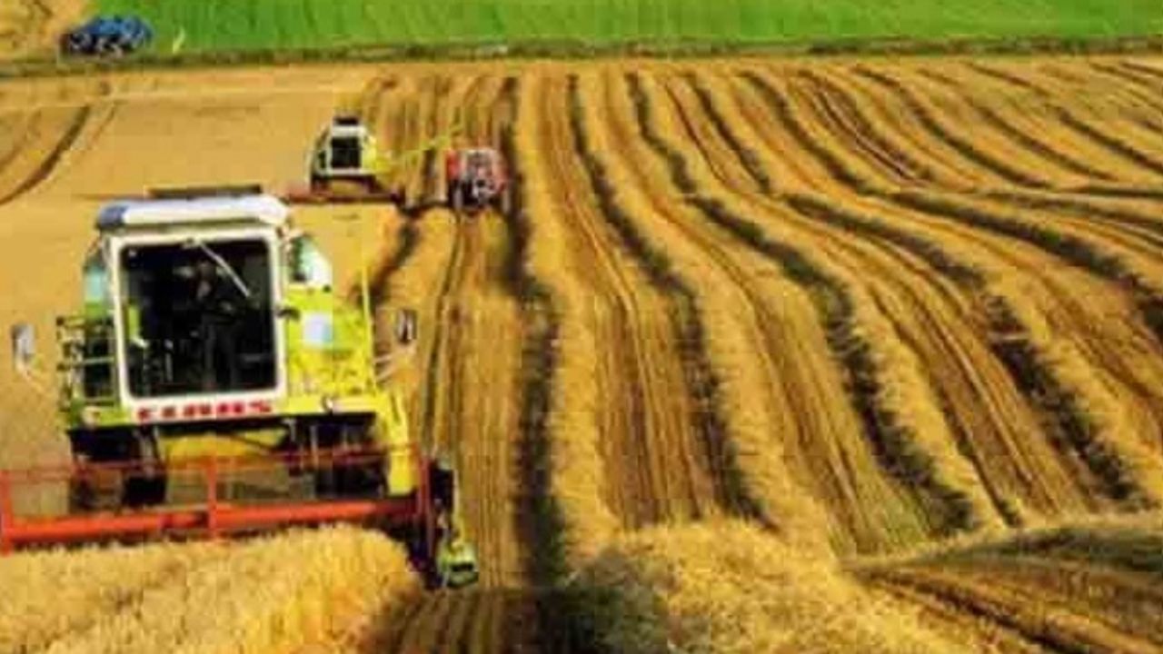 Tarımsal Girdi Enflasyonu Rekor Tazeledi: Tüm Zamanların En Yükseği