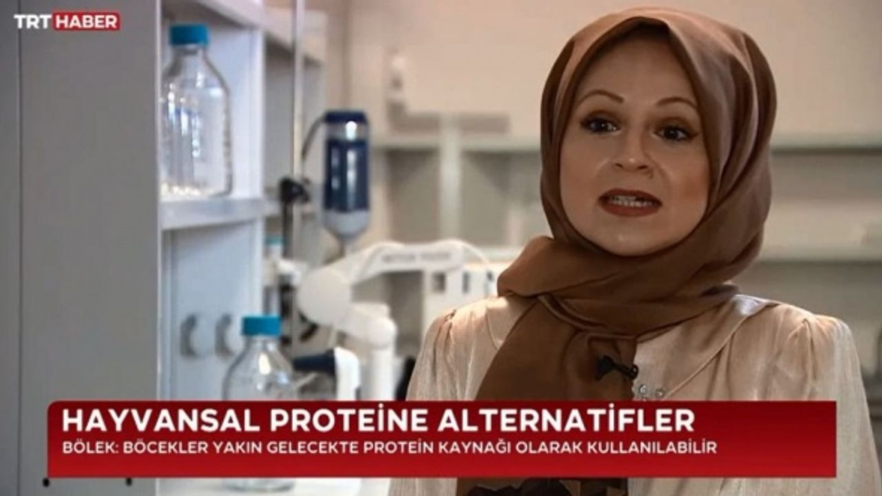 TRT İslami Değerleri Hiçe Saydı! Böcekten Protein Üretip Sofralarda...