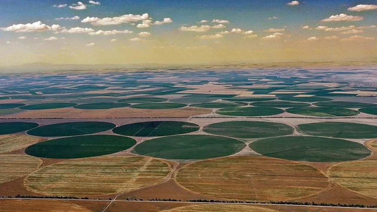 Tarım Arazilerine Yabancı İlgisi: En Çok Konya'dan Alıyorlar, Ülkemizde Tarım Arazisi Edinen İlk 10 Ülke Hangileridir?