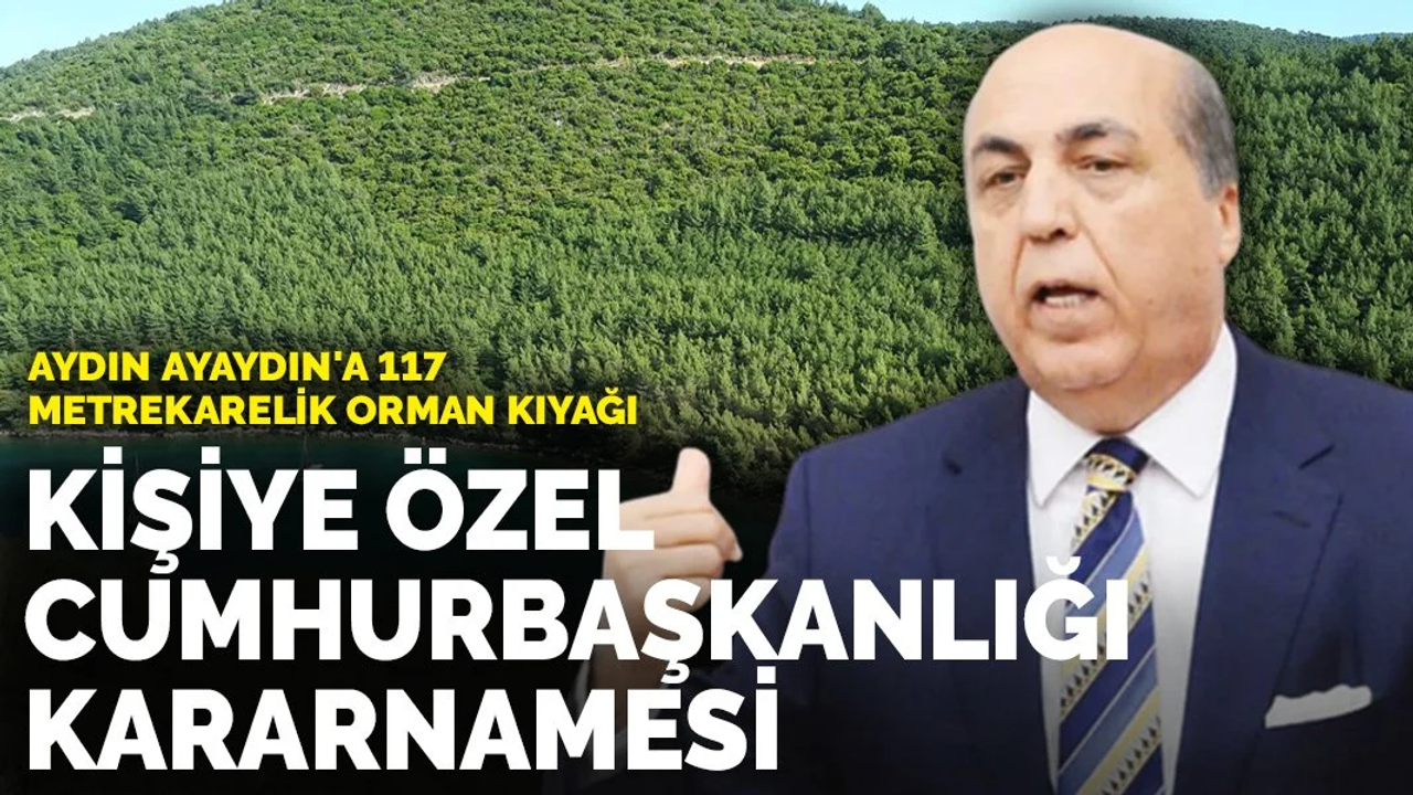 Kişiye Özel Cumhurbaşkanlığı Kararnamesi: Aydın Ayaydın'a 117 Metrekarelik Orman Kıyağı
