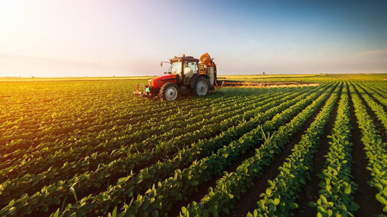 TÜİK Açıkladı: Tarım Enflasyonu Yıllık Yüzde 57,93 Arttı