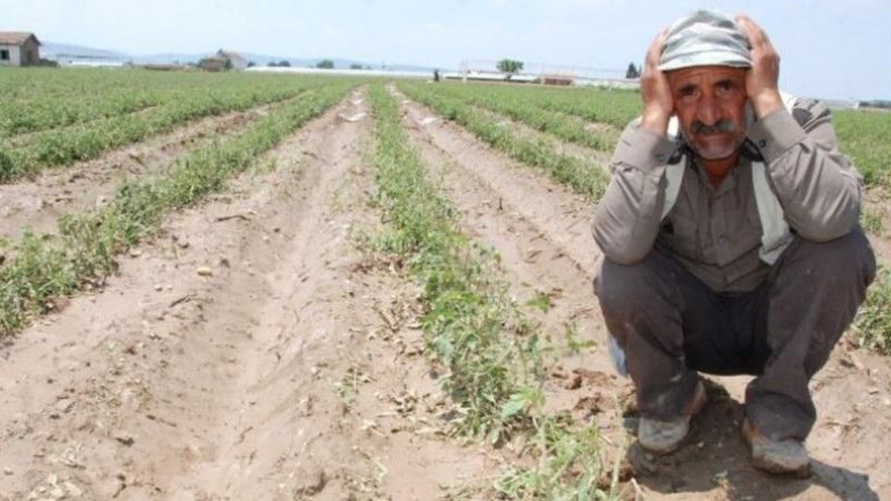 AKP Çiftçinin Sesine Kulak Ver! Ziraat Odası Başkanları Tehlikeyi Duyurdu