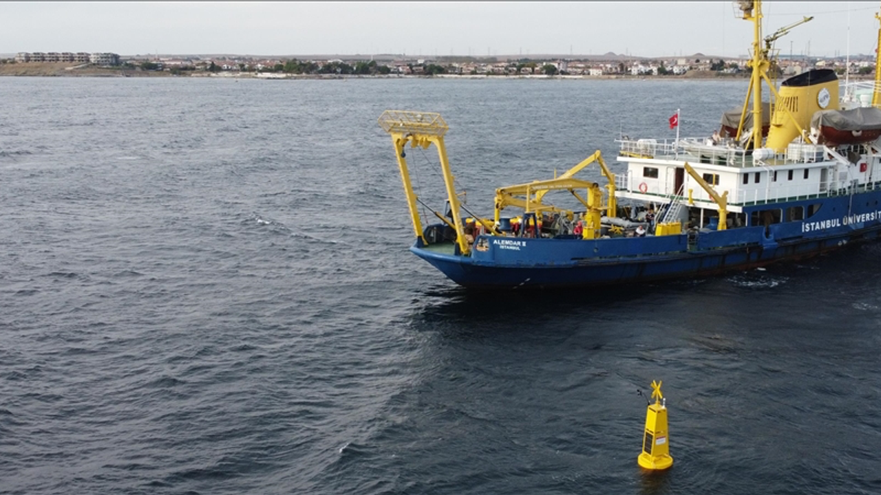 Sonuçlar Ortaya Çıktı: Marmara Denizi'nde Alarm
