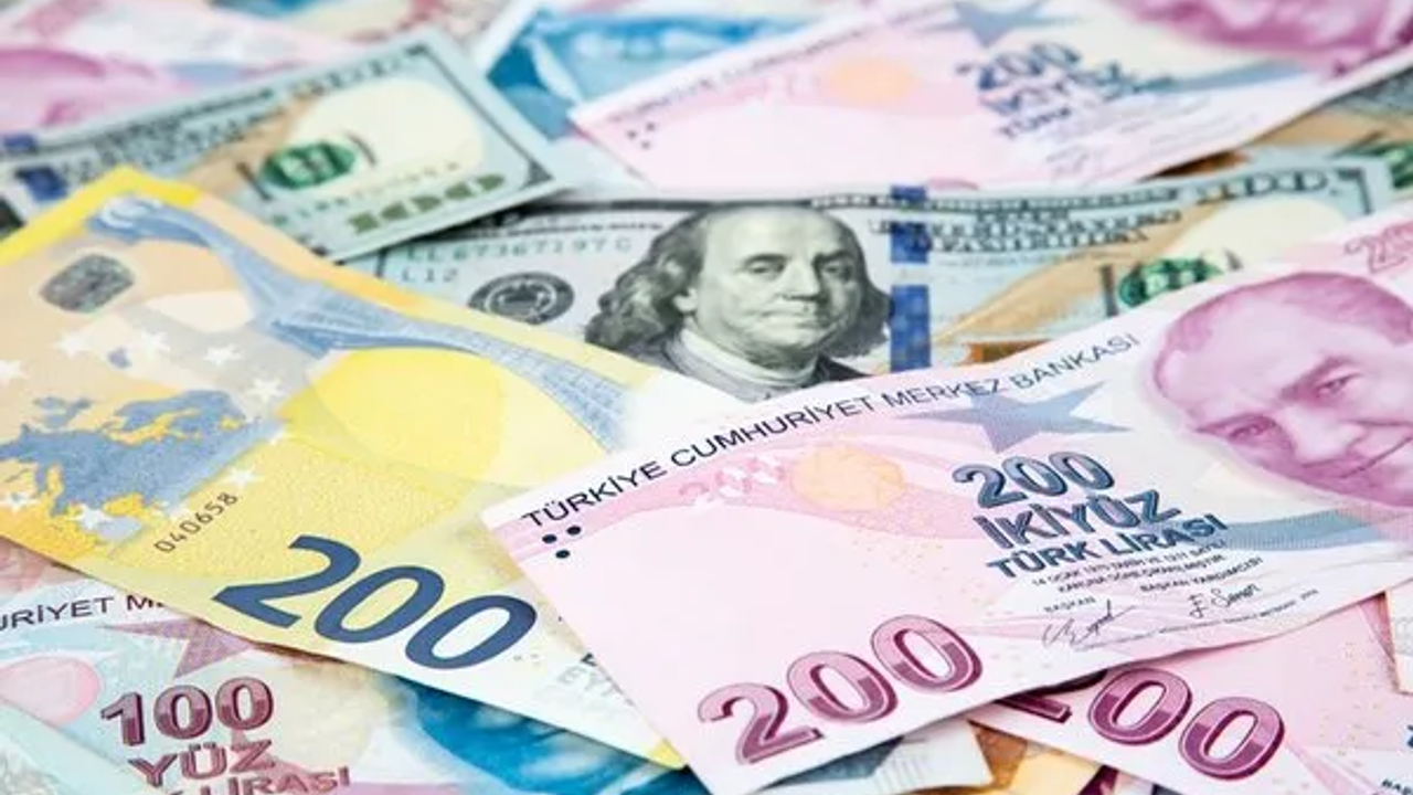 Gelirin Düştüğü Tek Ülke Türkiye: Beş Yılda Bin Euro Eridi