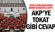 Bütçe Görüşmelerine Vekil Arık Bebek Mamasıyla Çıktı: AKP'ye Tokat Gibi Cevap