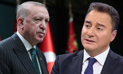 Ali Babacan'dan Adaylık Çıkış: Erdoğan İçten İçe Olamayacağını Biliyor