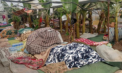 Samandağ'da Depremzedeler Çadırsızlıktan Muz Serasında Yaşıyor