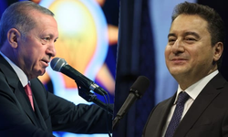 Akif Beki: Bayramda Dallas Mubabbetleri:'Bebecan' Deme Lazım OLur
