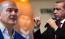 AKP'de İşler Karıştı, Süleyman  Soylu'ya Yakın İsim Kazan Kaldırdı:Dikkat Çeken Erdoğan Detayı