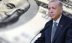 Erdoğan Dayanamayacak "Dur" Diyecek! Dolar 2024'te Patlayacak