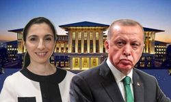 Erdoğan Salı Günü, Hafize Gaye Erkan ile Görüşecek: Üç Seçenek Konuşuluyor
