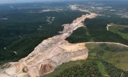 Maden Uğruna Doğa Talanı: Kuzey Ormanları'nda 3 Binden Fazla Ağaç Kesilecek