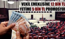 Adaletsiz ve Çarpık Tablo: Milletvekili  Emeklisine 12 Bin TL Yetime 5 Bin TL Promosyon