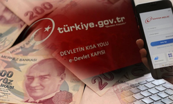 1 Gecede 14 Bin Lira Zamlanacak: e-Devlet'e Akın Bekleniyor