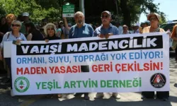 Zeytinliklere Ölüm Fermanı: Zeytinlikleri Ranta Açan Yasa Meclis'ten Geçti