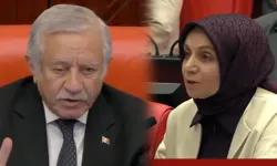 AKP’li Vekile ‘MHP'li Celal Adan’dan İnce Ayar: Meclis’te Sert Gerilim, ''Kimi Döveceksin, Öyle Şey Olur mu?''