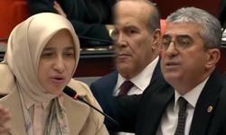 AKP'li Özlem Zengin’in Sözlerine Tepki Yağıyor... ‘Evet Utanmıyoruz’ Yanıtı: Meclis’te ‘Liyakat’ Tartışması