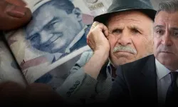 Düşük Maaşa Bahane Olan Emekli Sayısında Gerçek Ortaya Çıktı
