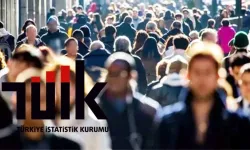 TÜİK İşsizlik Verisini Açıkladı: Akla Ziyan Tablo! Çalışan Sayısı da Düştü İşsizlik de! Bu Nasıl Hesap Sayın TÜİK