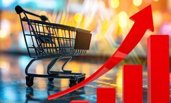 TÜİK Madde Sepetini Niye Sakladı Sorusunun Yanıtı Bu Grafikte Gizli