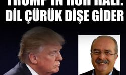 İsmet Özçelik Yazdı: Trump’ın Ruh Hali: ''Dil çürük dişe gider, Destansı Fiyasko''