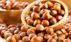 Fındık Üreticisi Ne Yapacağını Şaşırdı: Fiyatlar TMO’nun Altına Düştü