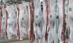 Kurban Bayramı Öncesi Et Fiyatlarında 100 Günlük Çıkmaz: 'Üreticiler Maliyetlerin Yükselmesinden Şikayetçi'