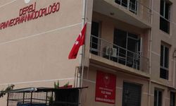 Tarım ve Orman Müdürlüğünde 600 Milyon Liralık Vurgun! Müdür Kayıp, Kayıtlar Eksik, Projeler Hayali...