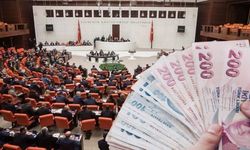 Varlık Barışı Yasalaştı: 'Yurt Dışı Kazançlara 20 Yıl Vergi Muafiyeti'