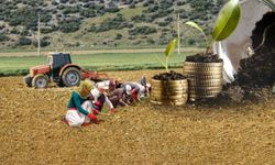 Gıda Fiyatlarına Zam Kapıda mı? Tarım Piyasalarında Yükseliş Alarmı