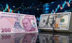 Doların 60 Lira Olacağı Tarihi Açıkladı, Türkiye'yi Uyardı