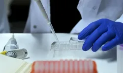 14 İlde Dev "Yasa Dışı Üreme Hücresi" Operasyonu: 36 Gözaltı