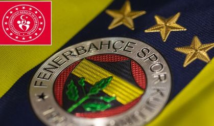 Sayıştay'ın Raporuna Göre: Gençlik ve Spor Bakanlığı, Yasalara Aykırı Biçimde Fenerbahçe'den 13 Milyonluk Alacağından Vazgeçti