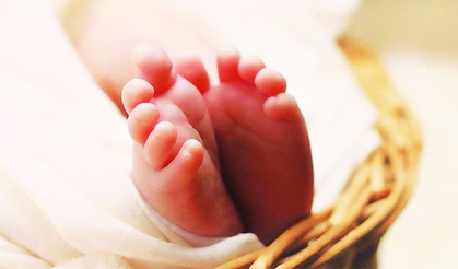 Nesil Tehlike Altında: Hileli Gıdalar Neslimizi Tehdit Ediyor