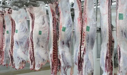 Kurban Bayramı Öncesi Et Fiyatlarında 100 Günlük Çıkmaz: 'Üreticiler Maliyetlerin Yükselmesinden Şikayetçi'