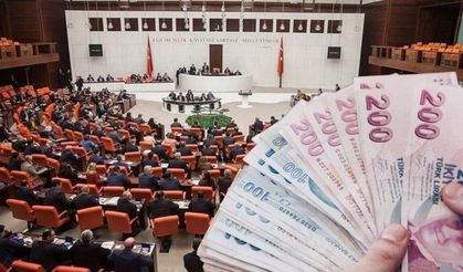 Varlık Barışı Yasalaştı: 'Yurt Dışı Kazançlara 20 Yıl Vergi Muafiyeti'