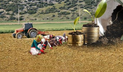 Gıda Fiyatlarına Zam Kapıda mı? Tarım Piyasalarında Yükseliş Alarmı