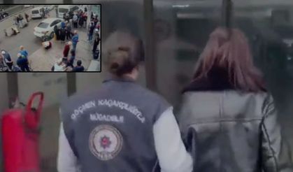 14 İlde Dev "Yasa Dışı Üreme Hücresi" Operasyonu: 36 Gözaltı
