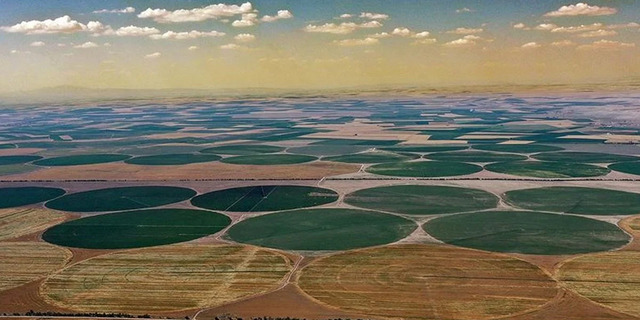 Tarım Arazilerine Yabancı İlgisi: En Çok Konya'dan Alıyorlar, Ülkemizde Tarım Arazisi Edinen İlk 10 Ülke Hangileridir?