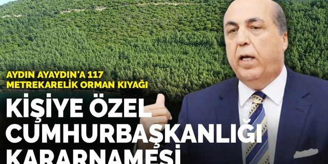 Kişiye Özel Cumhurbaşkanlığı Kararnamesi: Aydın Ayaydın'a 117 Metrekarelik Orman Kıyağı