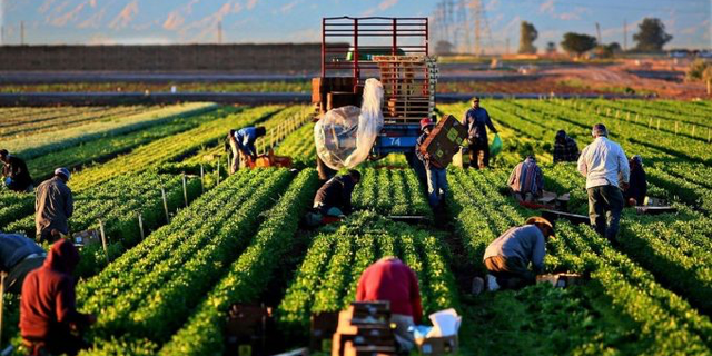 Tarımda Üretici Enflasyonu Yüzde 71,5 Oldu