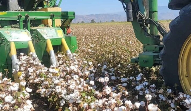 Çiftçinin İsyanı: Biz Üretirken Batıyoruz, Çalışan İnsan Batar mı?