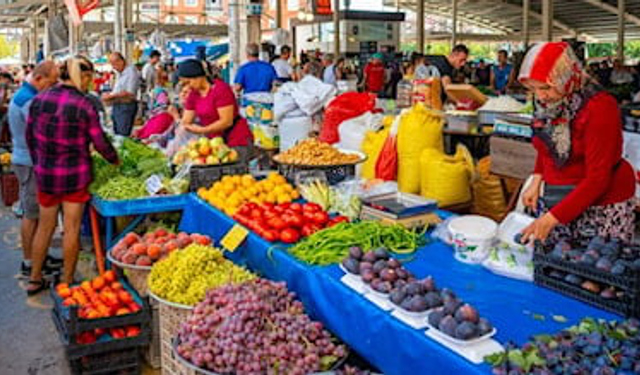 ‘Tezgahta 20 TL’yi Ucuz Kabul Etmeliyiz’ Seralar Pahalı Açılacak