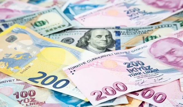 Gelirin Düştüğü Tek Ülke Türkiye: Beş Yılda Bin Euro Eridi