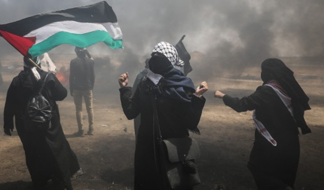 Gazzeli, Toprağına Tutunuyor…
