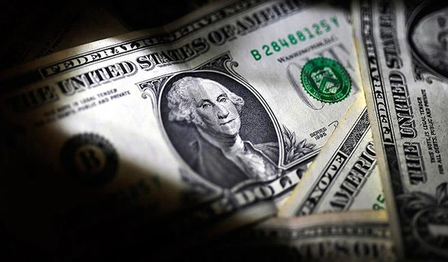 2024'te Dolar Kuru Kaç TL Olacak? Ziraat Bankası Eski Müdür Yardımcısı Açıkladı
