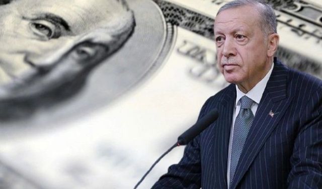 Erdoğan Dayanamayacak "Dur" Diyecek! Dolar 2024'te Patlayacak