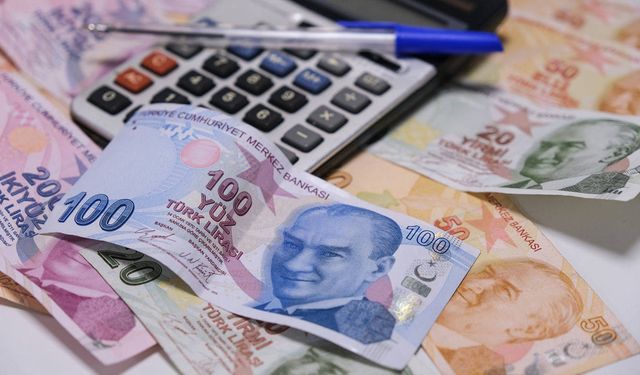 Asgari Ücret Cebe Girmeden 13 Dolar Eridi: 389 TL (13 Dolar)  Uçtu