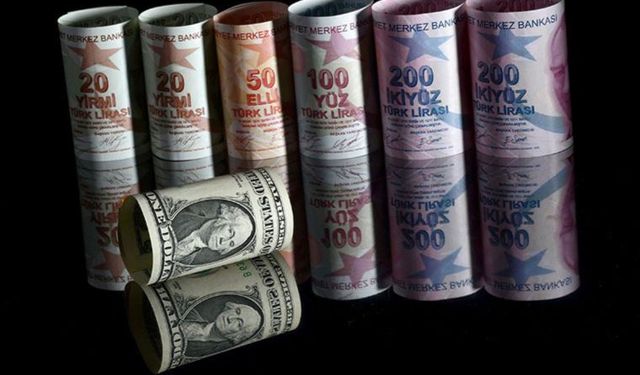 Dolar İçin Korkutan Tahmin! TL'de Değer Kaybı Sürecek